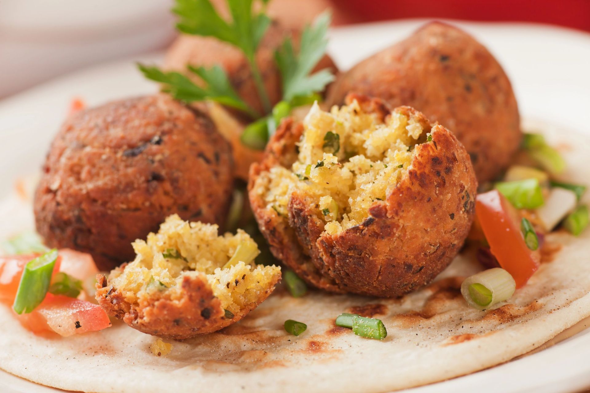 Falafel | Shaami Mediterranean Grill